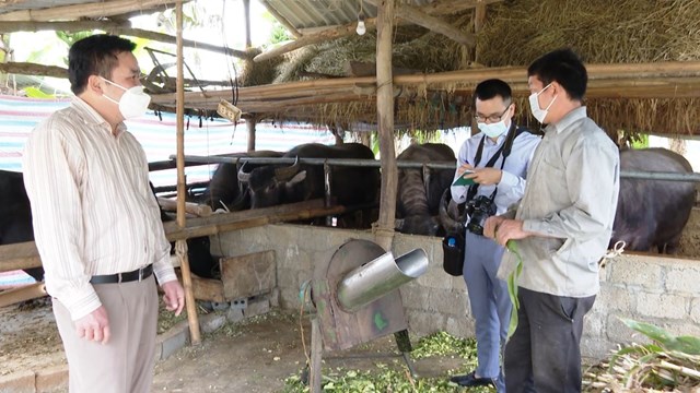 &Ocirc;ng Quan Văn Ph&ugrave;ng, Chủ tịch Hội N&ocirc;ng d&acirc;n huyện L&acirc;m B&igrave;nh (b&ecirc;n tr&aacute;i) đi&nbsp;kiểm tra&nbsp;việc sử dụng vốn vay tại c&aacute;c chi&nbsp;hội ở cơ sở.