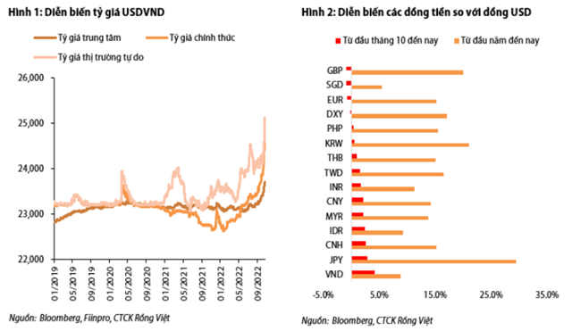 Nguồn: Báo cáo VDSC