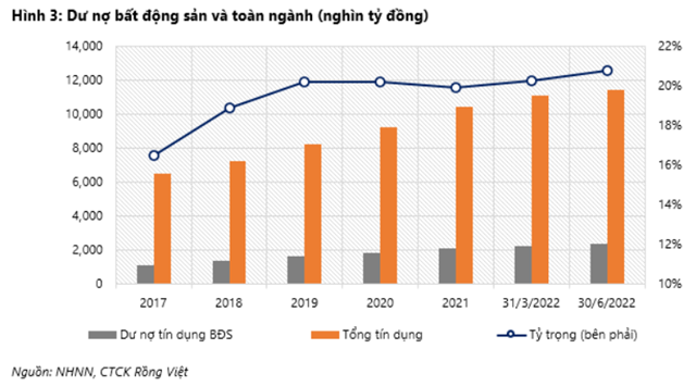 Nguồn: Báo cáo VDSC