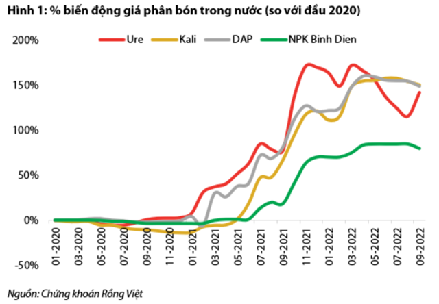 Nguồn: Báo cáo VDSC