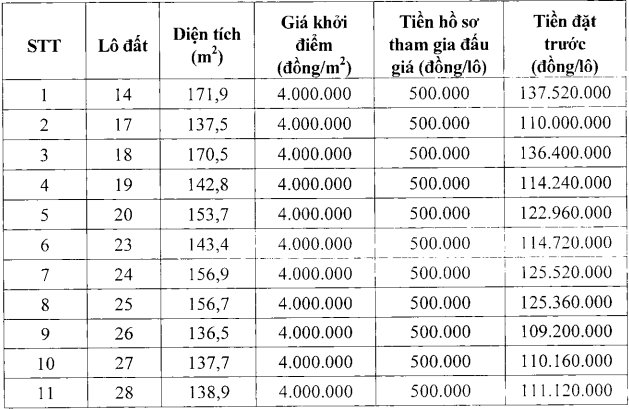 Danh sách các lô đất đấu giá.