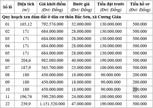 Danh sách các lô đất đấu giá.