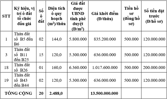 Danh sách các lô đất đấu giá.