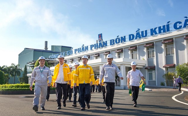 Ảnh minh họa.