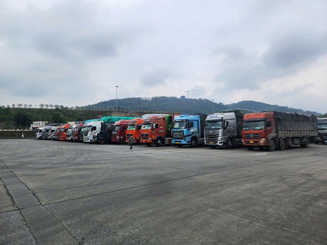 BĐBP tỉnh Lào Cai mang mùa xuân đến với đồng bào biên giới  - Ảnh 10