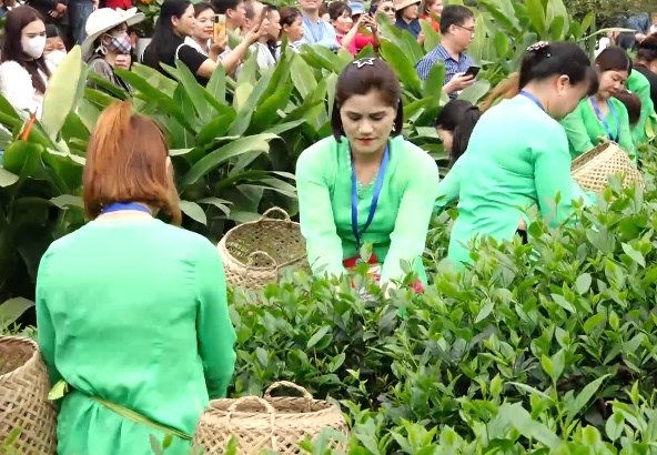 Th&#225;i Nguy&#234;n: Khai mạc Lễ hội “Hương sắc tr&#224; Xu&#226;n - v&#249;ng ch&#232; đặc sản T&#226;n Cương&quot; xu&#226;n Gi&#225;p Th&#236;n năm 2024 - Ảnh 1