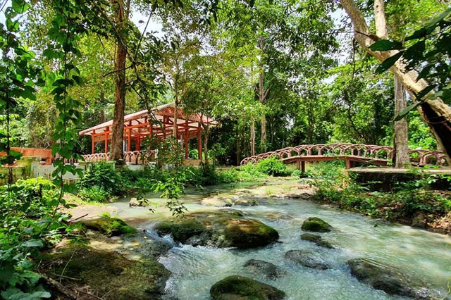 Khu căn cứ Trung ương Cục miền Nam – Địa chỉ đỏ giữa đại ngàn biên giới Tây Ninh - Ảnh 1