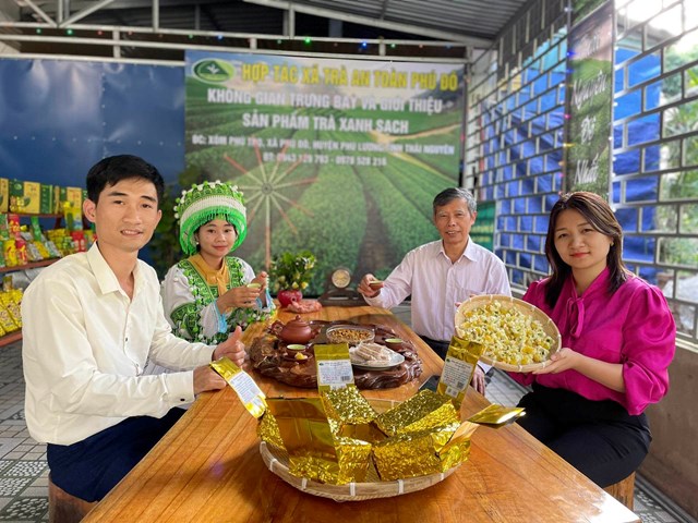 Hợp tác xã trà an toàn Phú Đô tích hợp sản xuất trà hữu cơ gắn với du lịch nông nghiệp.