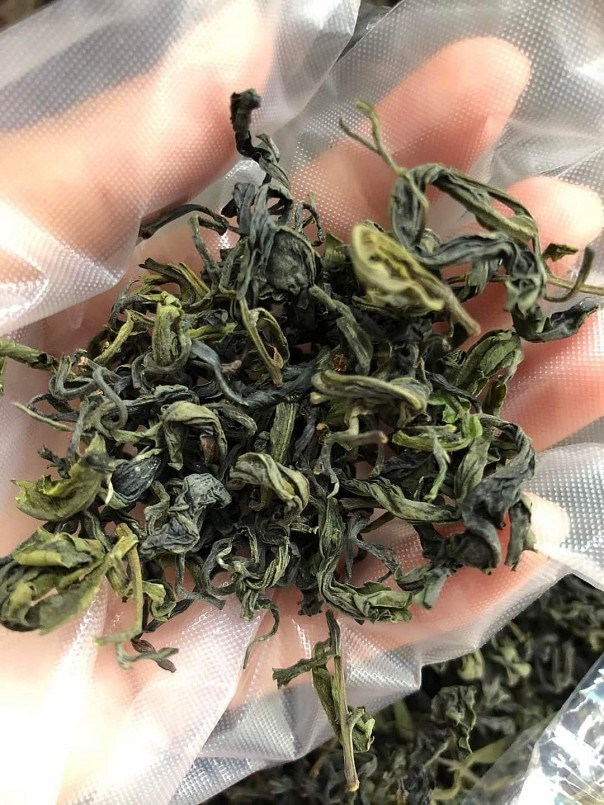Chè Đoỏng Pán đang dần được hồi sinh tạo nên thương hiệu...