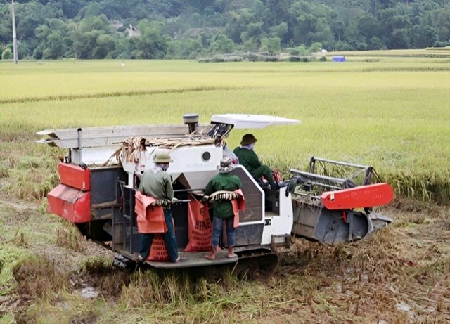 Huyện Văn Bàn chuyển máy móc cơ giới hóa phục vụ sản xuất nông - lâm nghiệp.