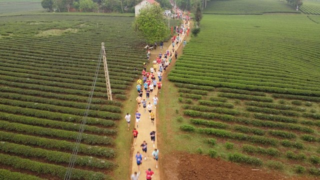 Các vận động viên cùng đua tài ở cự ly gần 6km...