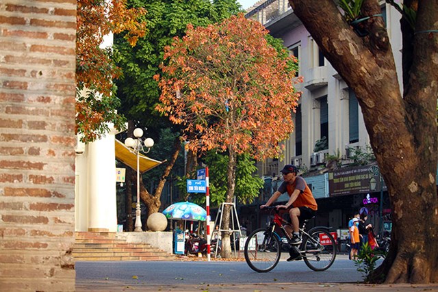 Đẹp ngỡ ng&#224;ng m&#249;a c&#226;y thay l&#225; ở Thủ đ&#244; H&#224; Nội - Ảnh 10