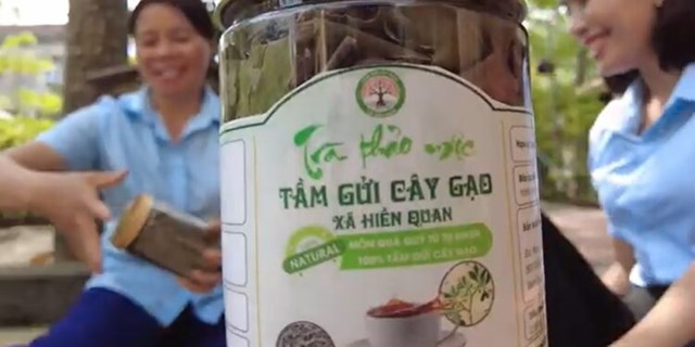 Trà thảo mộc tầm gửi cây gạo Hiền Quan - Sản phẩm OCOP huyện Tam Nông.