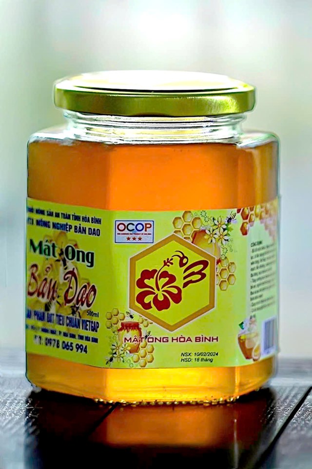 Mật ong Bản Dao – tinh hoa ngọt lành từ núi rừng - Ảnh 1
