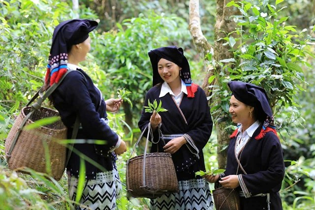 Khi du lịch cộng đồng hòa nhịp cùng thiên nhiên xanh - Ảnh 3