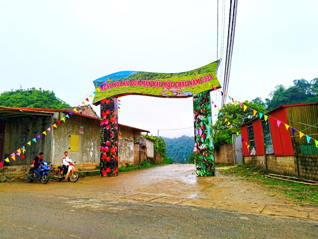 Huyện Mộc Ch&acirc;u lựa chọn thung lũng mận N&agrave; Ka l&agrave; điểm tổ chức Ng&agrave;y hội h&aacute;i quả hằng năm, với nhiều nội dung chương tr&igrave;nh hấp dẫn. ảnh A Trứ