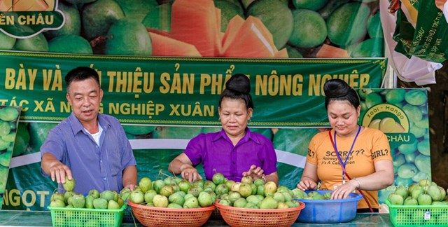 Yên Châu Được mệnh danh là vùng đất “chuối ngọt, xoài thơm”