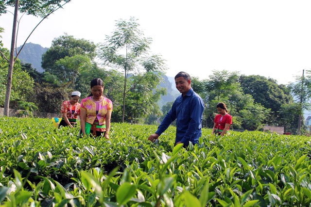 H&#242;a B&#236;nh: Trung t&#226;m Khuyến n&#244;ng nỗ lực thực hiện hiệu quả c&#225;c hoạt động khuyến n&#244;ng tr&#234;n địa b&#224;n - Ảnh 1