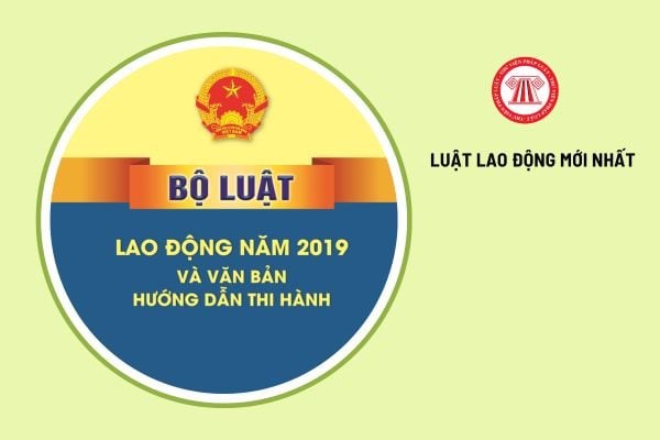 Nhận thức của người lao động về ph&aacute;p luật lao động v&agrave; c&aacute;c quy định ph&aacute;p luật li&ecirc;n quan được n&acirc;ng cao, g&oacute;p phần tạo mối quan hệ h&agrave;i h&ograve;a, ổn định giữa người lao động v&agrave; doanh nghiệp.