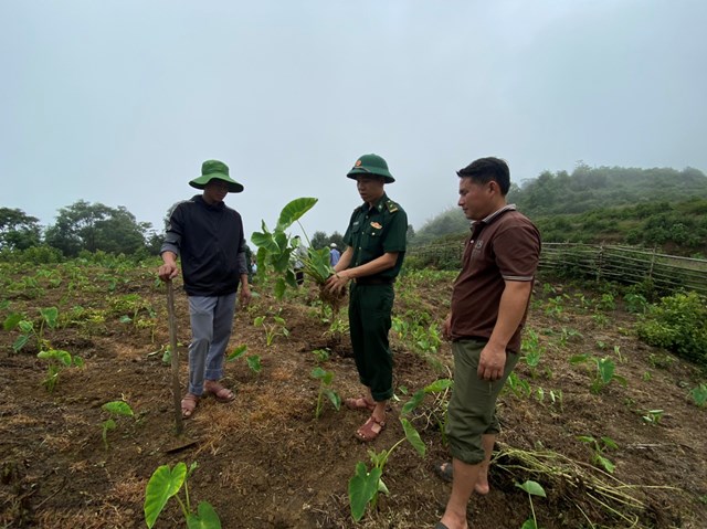 Đồn Bi&ecirc;n phòng Cửa kh&acirc;̉u Qu&ocirc;́c t&ecirc;́ Na M&egrave;o phối hợp với Ph&ograve;ng N&ocirc;ng nghiệp v&agrave; Ph&aacute;t triển n&ocirc;ng th&ocirc;n huyện Quan Sơn, Trung t&acirc;m dịch vụ n&ocirc;ng nghiệp huyện Quan Sơn c&ugrave;ng UBND x&atilde; Na M&egrave;o triển khai m&ocirc; h&igrave;nh trồng thử nghiệm &ldquo;khoai m&aacute;n ruột v&agrave;ng&rdquo;.