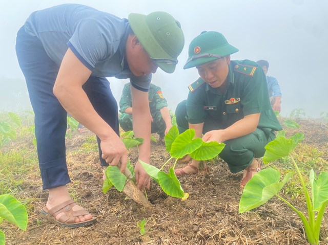 Đồn Bi&#234;n ph&#242;ng Cửa khẩu Quốc tế Na M&#232;o t&#237;ch cực hỗ trợ người d&#226;n ph&#225;t triển kinh tế, thực hiện tốt nhiệm vụ - Ảnh 2