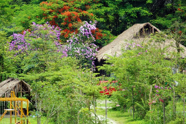 C&aacute;c Homestay l&agrave; những điểm thu h&uacute;t du kh&aacute;ch trong v&agrave; ngo&agrave;i nước đến vui chơi, nghỉ dưỡng ở c&aacute;c địa phương, g&oacute;p phần th&uacute;c đẩy ph&aacute;t triển du lịch.