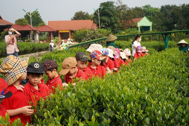 Th&#225;i Nguy&#234;n: Ph&#225;t triển du lịch cộng đồng gắn với trải nghiệm văn h&#243;a tr&#224; v&#224; ẩm thực về tr&#224; T&#226;n Cương - Ảnh 3