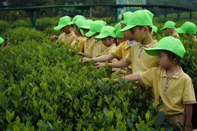 Th&#225;i Nguy&#234;n: Ph&#225;t triển du lịch cộng đồng gắn với trải nghiệm văn h&#243;a tr&#224; v&#224; ẩm thực về tr&#224; T&#226;n Cương - Ảnh 4