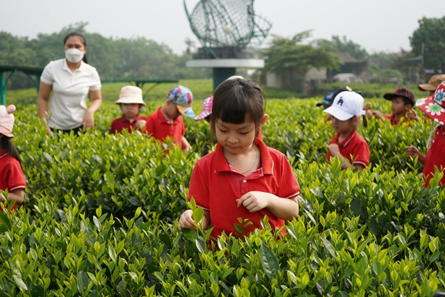 Th&#225;i Nguy&#234;n: Ph&#225;t triển du lịch cộng đồng gắn với trải nghiệm văn h&#243;a tr&#224; v&#224; ẩm thực về tr&#224; T&#226;n Cương - Ảnh 2