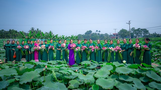 Du khách tham quan trải nghiệm và check in tại vườn sen của HTX.