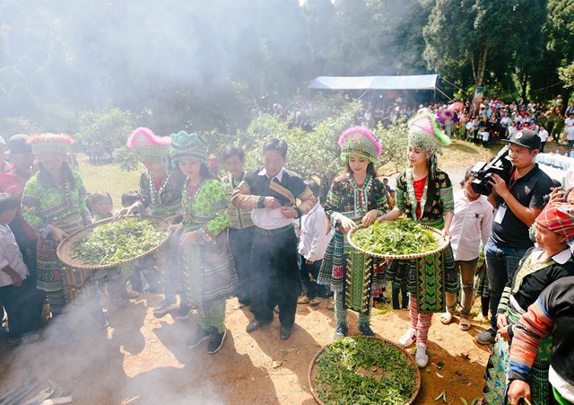 Đối với đồng bào các DTTS ở vùng chè Shan tuyết, cây chè cổ thụ là “báu vật” của bản làng.