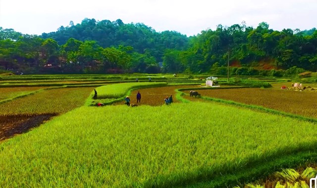 N&ocirc;ng nghiệp tiếp tục giữ vai tr&ograve; trụ cột trong ph&aacute;t triển kinh tế. Sản xuất vụ Đ&ocirc;ng Xu&acirc;n đạt kết quả khả quan với tổng diện t&iacute;ch gieo trồng hơn 1.125 ha, sản lượng lương thực gần 5.000 tấn. Địa phương ch&uacute; trọng ứng dụng khoa học kỹ thuật, triển khai m&ocirc; h&igrave;nh L&agrave;ng n&ocirc;ng nghiệp tuần ho&agrave;n tại x&oacute;m Ch&aacute;u với 22 ha sản xuất giống l&uacute;a chất lượng cao J02; đồng thời được hỗ trợ gần 5,9 tấn giống l&uacute;a chất lượng cao theo ch&iacute;nh s&aacute;ch của tỉnh.