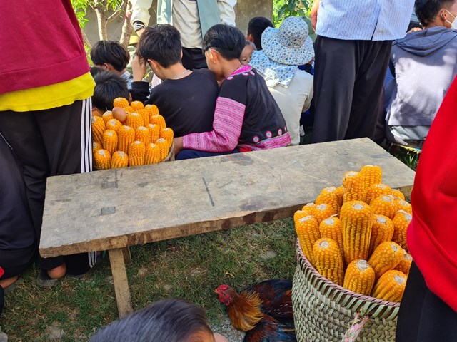 Những gùi ngô mới, đầy chuẩn bị làm lễ Tu Su cầu mong một năm ấm no. Ảnh: Nam Trứ.