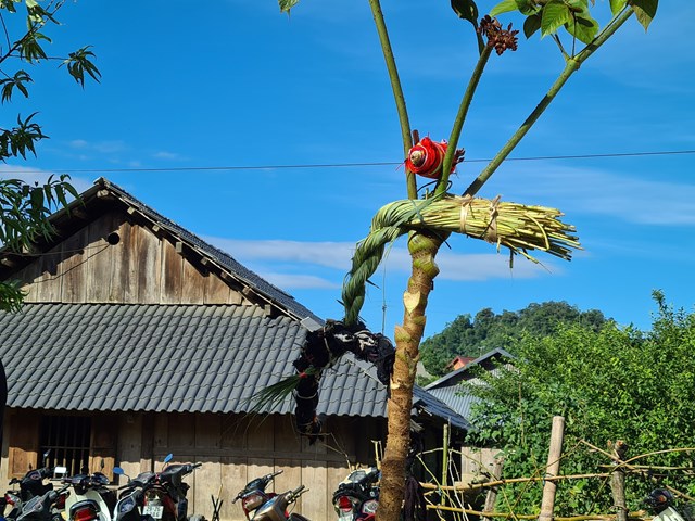 Những ngọn cỏ lau được thắp chặt thành bó để làm lễ, sau khi xong lễ sẽ dùng dao chặt đi để cầu mong mọi điều tốt đẹp. Ảnh: Nam Trứ.