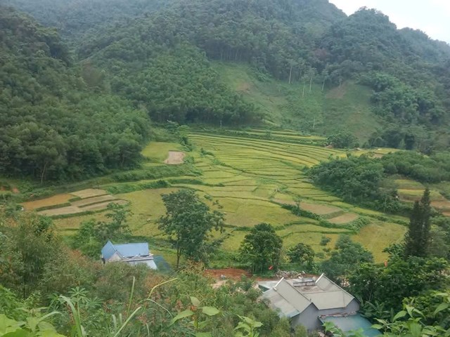 Xã Tiền Phong - Những con số biết nói - Ảnh 5