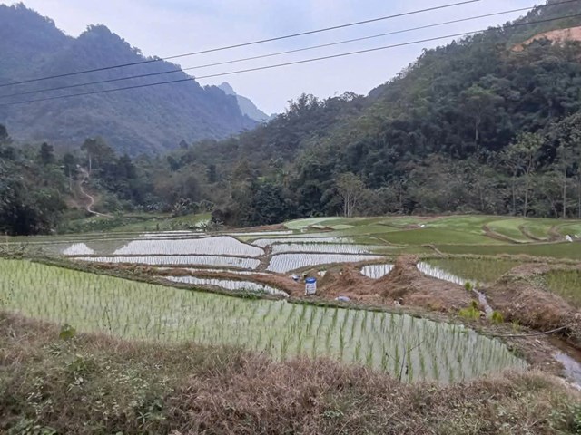 Xã Tiền Phong - Những con số biết nói - Ảnh 1