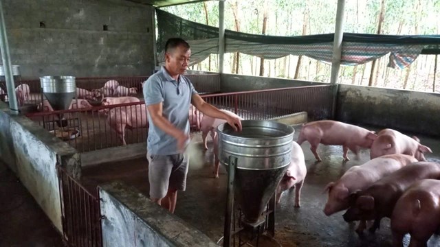 Dũng Tiến tăng tốc phát triển, hướng tới mục tiêu toàn diện - Ảnh 2