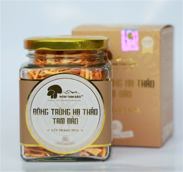 HTX Nấm Tam Đảo - Nơi viết tiếp câu chuyện thành công từ những sản phẩm OCOP - Ảnh 3