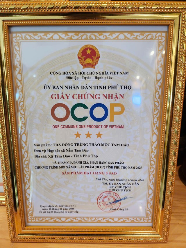HTX Nấm Tam Đảo - Nơi viết tiếp câu chuyện thành công từ những sản phẩm OCOP - Ảnh 6