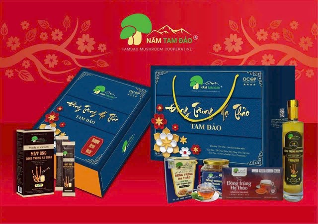 Đối với HTX Nấm Tam Đảo, mỗi sản phẩm kh&ocirc;ng đơn thuần l&agrave; h&agrave;ng h&oacute;a m&agrave; c&ograve;n l&agrave; c&acirc;u chuyện về v&ugrave;ng đất, con người v&agrave; những gi&aacute; trị được g&igrave;n giữ qua nhiều thế hệ.