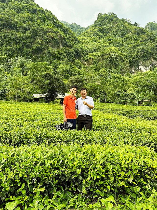 Ông Đinh Văn Bình, du khách thành phố Hà Nội cảm nhận về việc tham quan và trải nghiệm những thú vị khi hái chè, sao chè, đặc biệt được thưởng thức không khí trong lành nơi đấy.