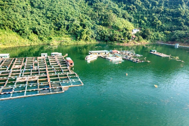 Phường Thống Nhất: Kh&#225;t vọng bứt ph&#225;, ph&#225;t triển to&#224;n diện trong nhiệm kỳ mới - Ảnh 1