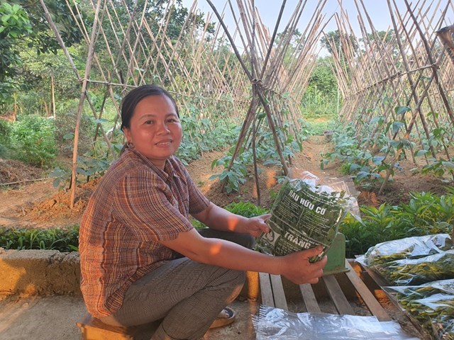 Đại diện Tổ hợp t&aacute;c rau hữu cơ x&oacute;m Gừa chị Ho&agrave;ng B&iacute;ch Th&ugrave;y n&oacute;i về qu&aacute; tr&igrave;nh h&igrave;nh th&agrave;nh tổ hợp t&aacute;c.