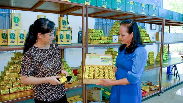 Một số sản phẩm ch&egrave; Th&aacute;i Nguy&ecirc;n được giới thiệu b&agrave;y b&aacute;n tại c&aacute;c cửa h&agrave;ng trưng b&agrave;y, giới thiệu sản phẩm OCOP.