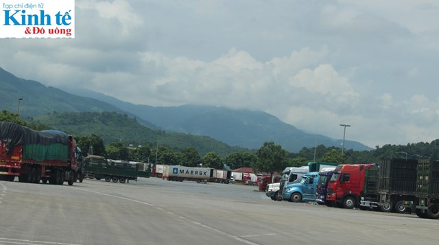 L&#224;o Cai: Kh&#244;i phục hoạt động xuất, nhập khẩu h&#224;ng h&#243;a giao thương bi&#234;n giới th&#244;ng tho&#225;ng v&#224; khởi sắc - Ảnh 4