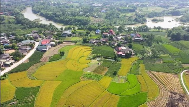 Cánh đồng bên sông Cầu - Phú Đô, Phú Lương, Thái Nguyên 