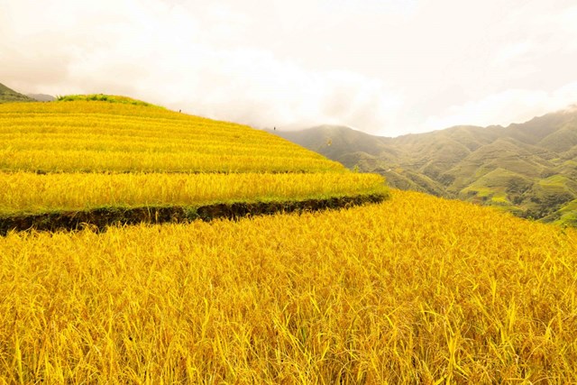 Vẻ đẹp của Xím Vàng - xã vùng cao của huyện Bắc Yên (Sơn La)