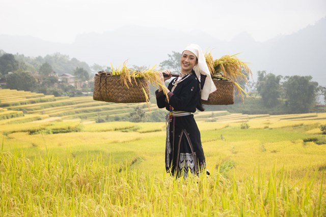 Hoa hậu Áo dài Việt Nam Lương Yến Ly trải nghiệm ruộng bậc thang Hồng Thái.