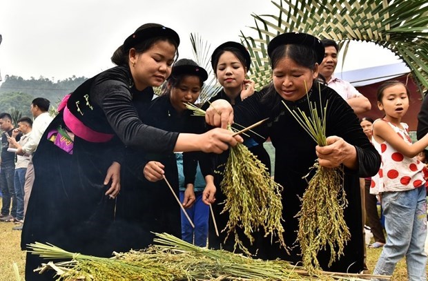 Lễ hội giã cốm năm 2023 sẽ diễn ra vào ngày 8/10/2023 tại sân vận động xã Côn Lôn.