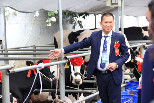 Ông Nguyễn Hải Nam, Tổng Giám đốc Công ty Cổ phần Giống bò sữa Mộc Châu 